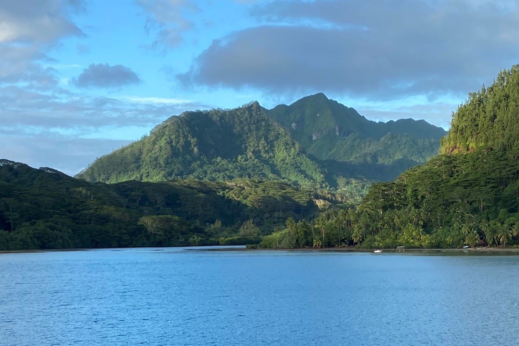 Rebuilding reefs in French Polynesia