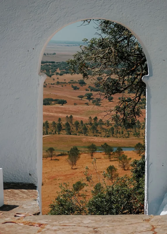 vinyard through door