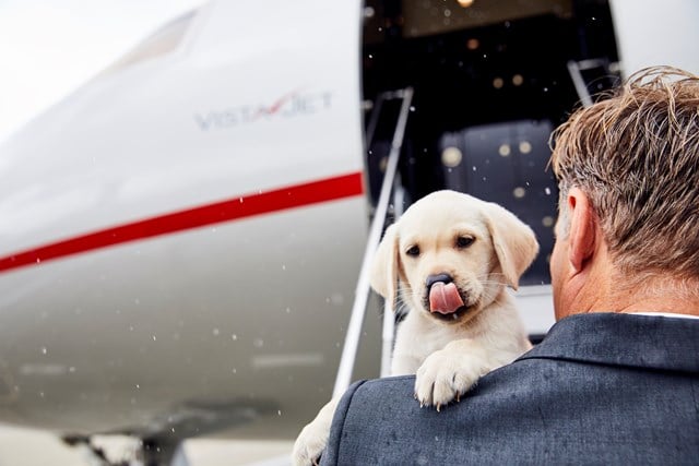 VistaPet, pets on private jets