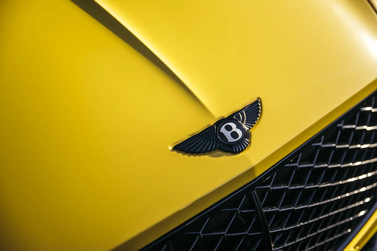 close up of Bentley hood