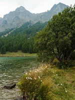 A riverside view found in Chesa Marchetta