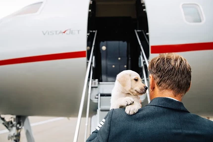 VistaJet Sees Surge in Pet Travel This Summer